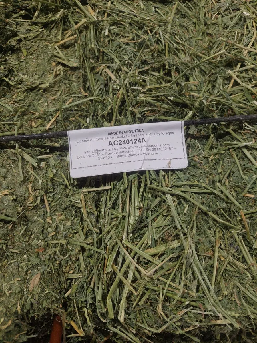 Nafosa Argentina es una empresa agroindustrial dedicada al procesamiento y exportaci&oacute;n de alfalfa de alta calidad. Foto (Nafosa Argentina).