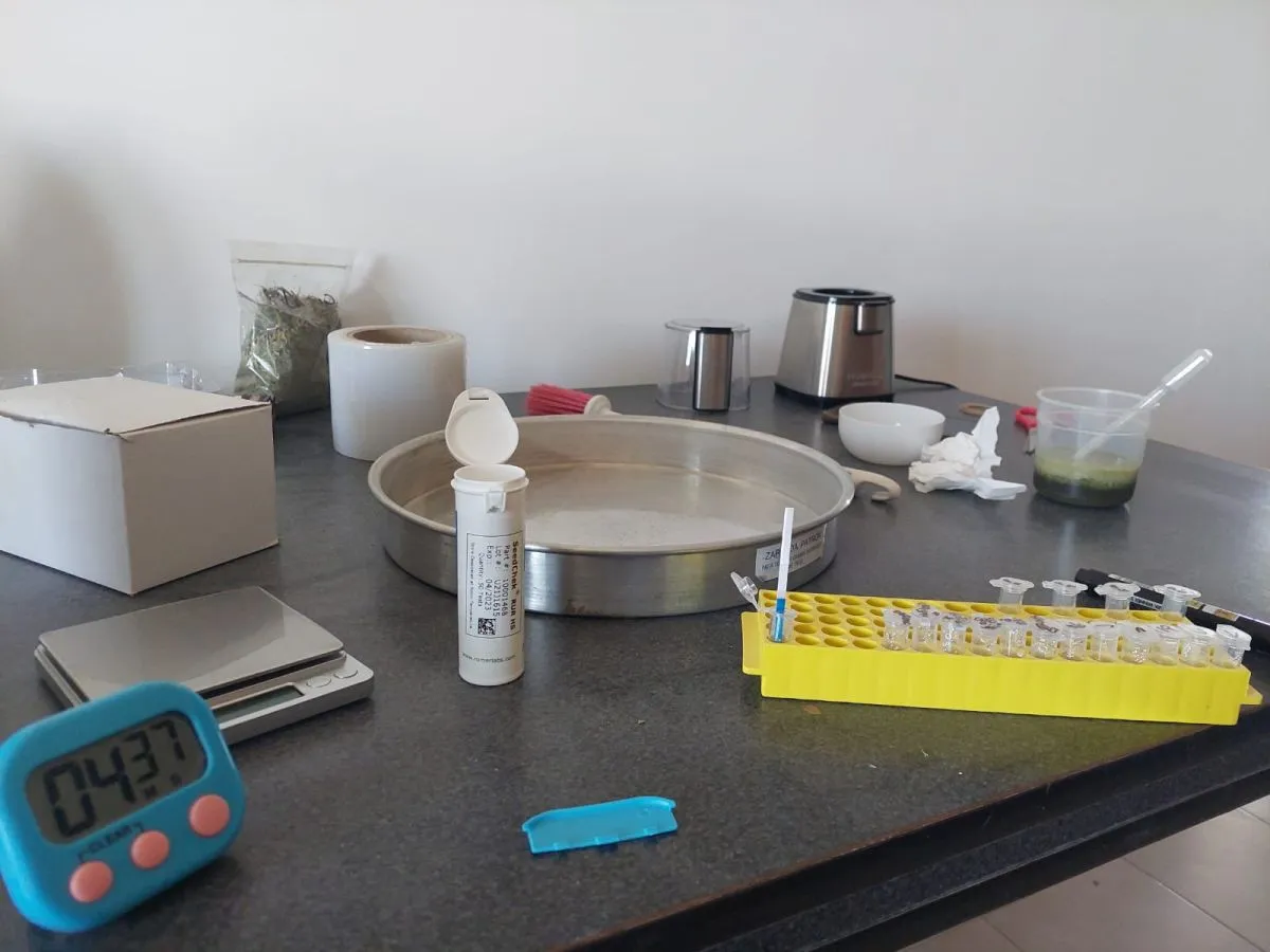 Nafosa Argentina es una empresa agroindustrial dedicada al procesamiento y exportaci&oacute;n de alfalfa de alta calidad. Foto (Nafosa Argentina).