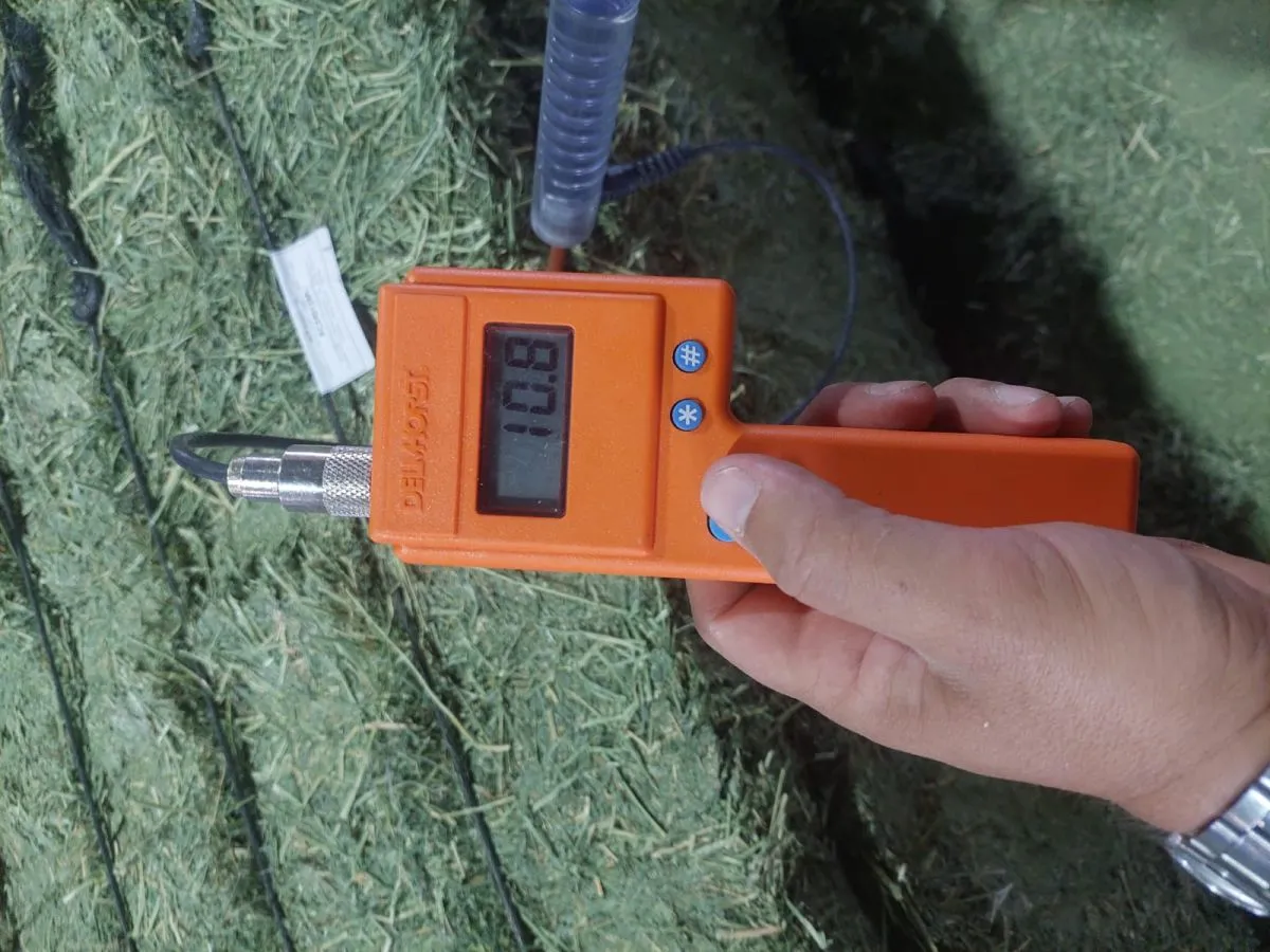 Desde sus plantas en Argentina, Nafosa procesa anualmente unas 20.000 toneladas de alfalfa. Foto (Nafosa Argentina)
