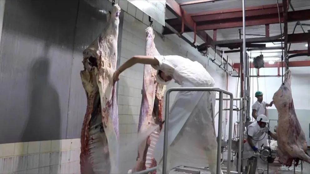 Matadero de Luis Beltrán. Foto (NoticiasNet).