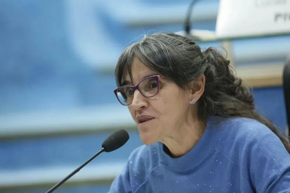 La propuesta fue impulsada por la legisladora Maricel Cévoli (JSRN).