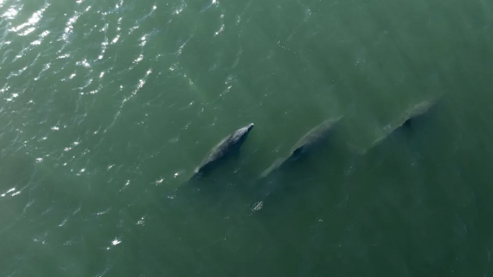 Foto: Gobierno de Río Negro.