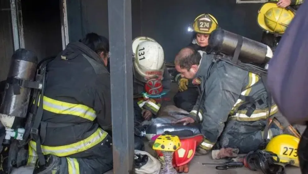 Cada intervención sigue un protocolo riguroso que prioriza la seguridad de los animales y del equipo. Foto gentileza Bomberos Voluntarios General Roca.