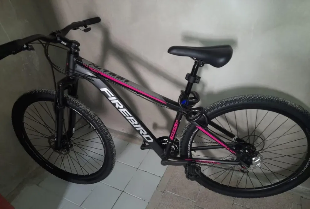 Las bicicletas son una TopMega y una FIREBIRD.