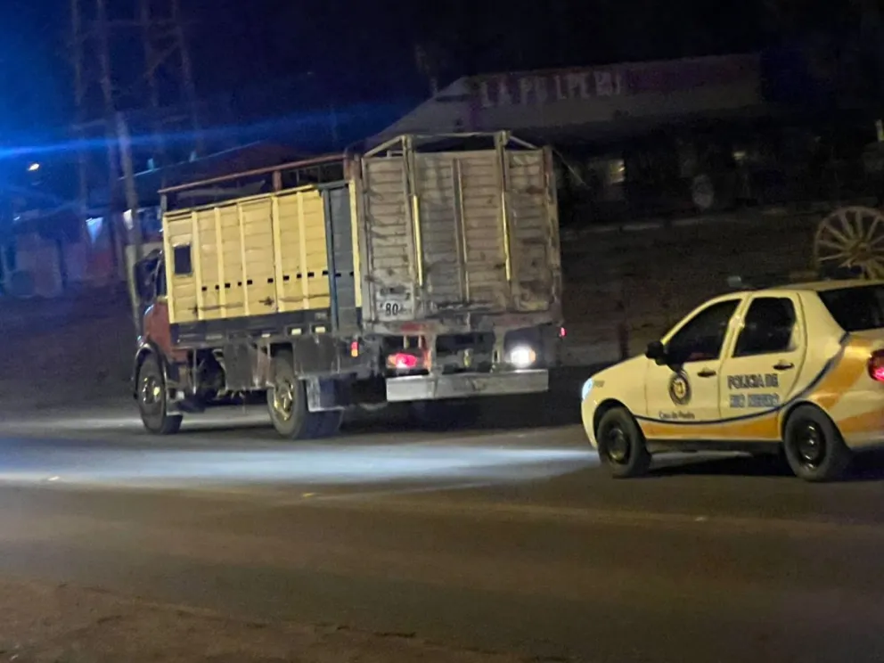 Presentaban marcas recientes realizadas en la parte superior del anca. (Foto gentileza)
