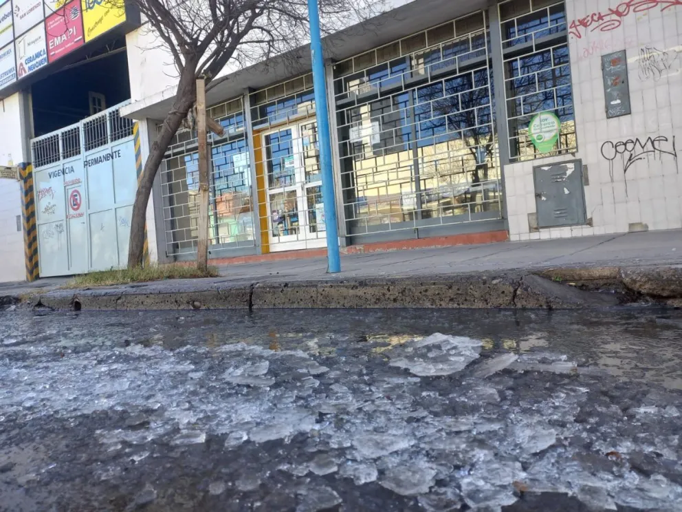 La ola polar se siente con fuerza en toda la provincia, aun en las zonas más frías. Foto (Tania Domenicucci-ANR).