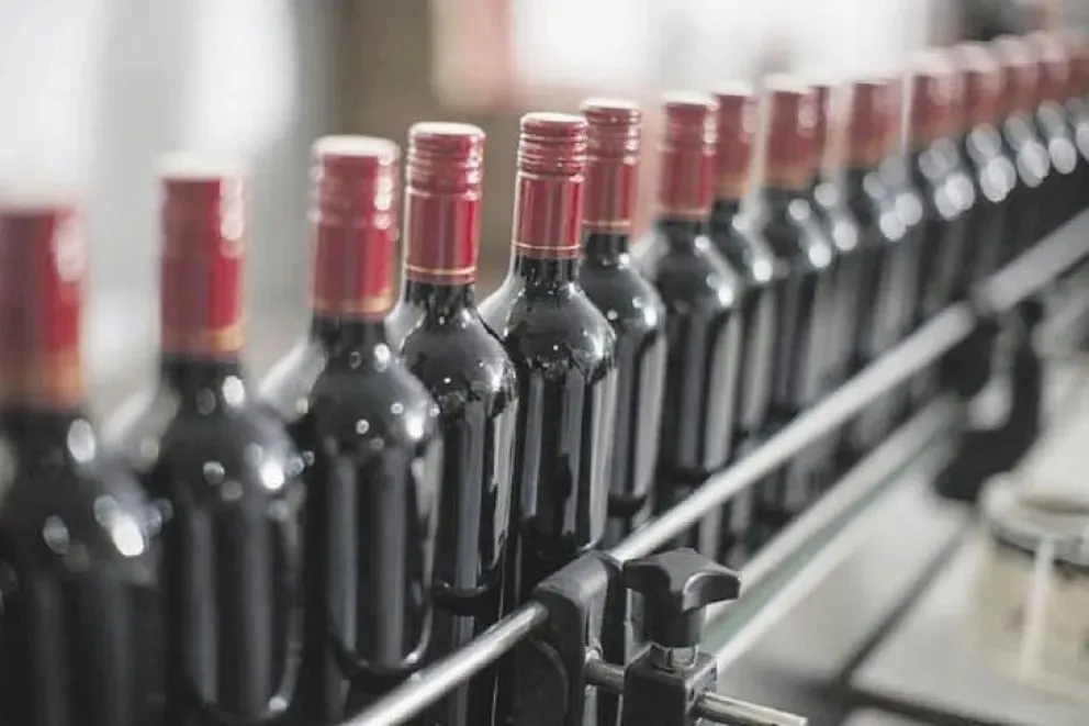 Destacaron el acompañamiento a pequeños productores y la proyección nacional e internacional de los vinos rionegrinos.