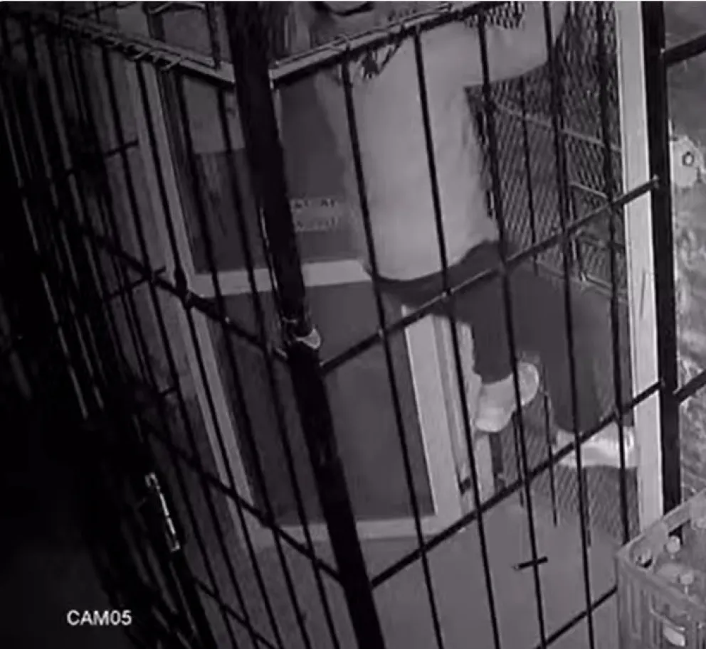 La cámara de seguridad captó al hombre intentando escapar mientras pateaba y trepaba las rejas internas de la vivienda. Foto (Gentileza)