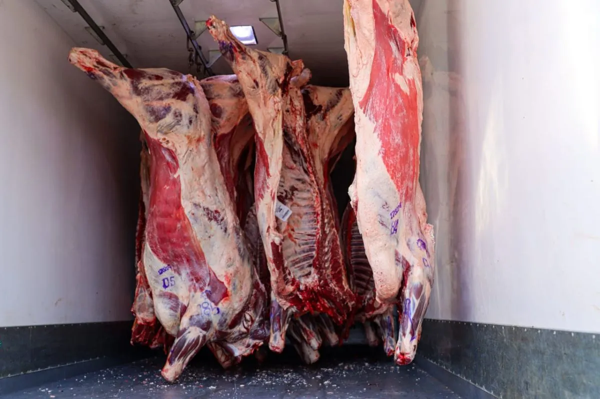 Los corte de carne con hueso comenzaron a llegar a la regi&oacute;n. Foto: (Tania Domenicucci)