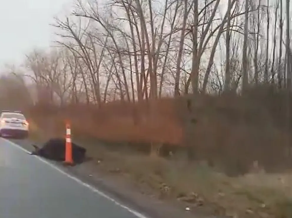 El vuelco se produjo en la Ruta 65 a metros de la conocida curva de Verani. Foto (Gentileza lector)