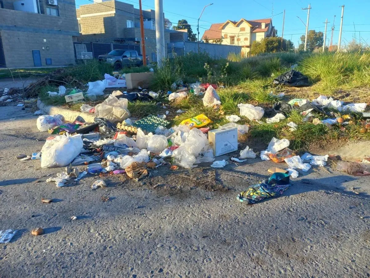 Basura domiciliaria que suele encontrarse en esquinas de Roca. Foto: (Tania Domenicucci)