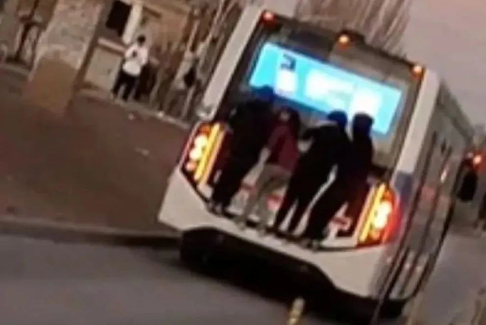 Desde la empresa de transporte aún no se pronunciaron sobre el hecho (imagen gentileza)