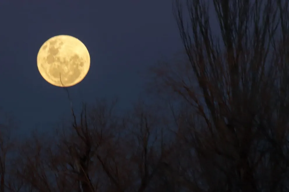 La Luna de Ciervo iluminó el cielo despejado de Roca y dejó unas postales inolvidables. Foto (Tania Domenicucci-ANR)