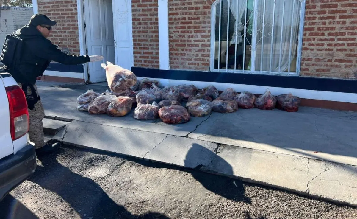 Fueron 600 kilos de carne equina los decomisados. Foto (gentileza)