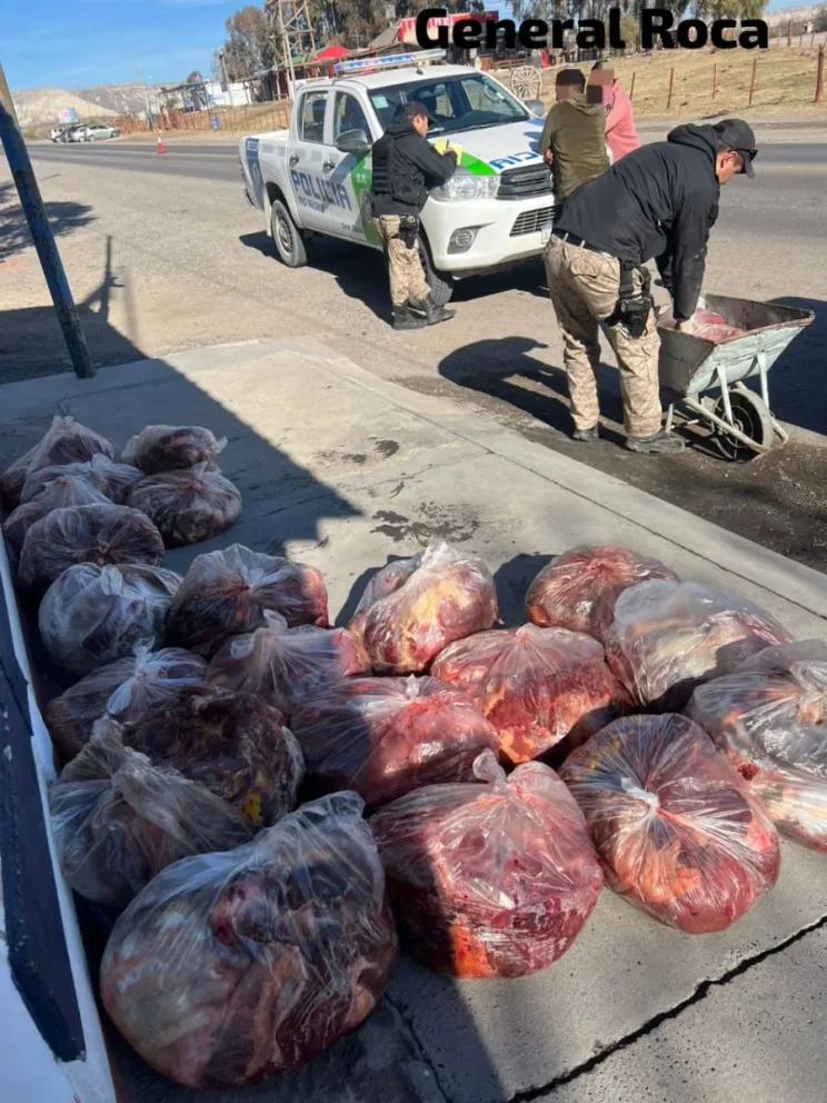 Un control policial realizado por la Brigada Rural de Roca permitió el secuestro de aproximadamente 600 kilos de carne de caballo. Foto (Gentileza).