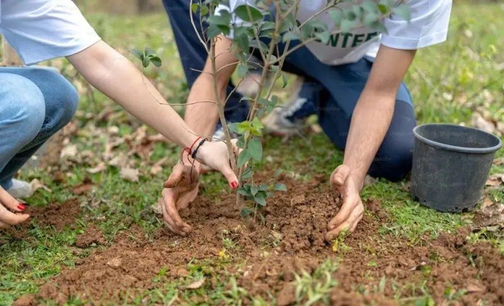 En agosto se plantará un árbol por cada niño nacido o adoptado en el último año en Huergo. (Foto archivo)