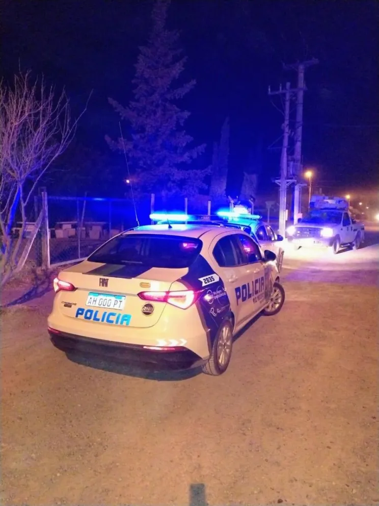 Durante las tareas de fumigación se encontraron plagas en colchones, muebles y equipos electrónicos. Foto gentileza Mejor Info Oro.