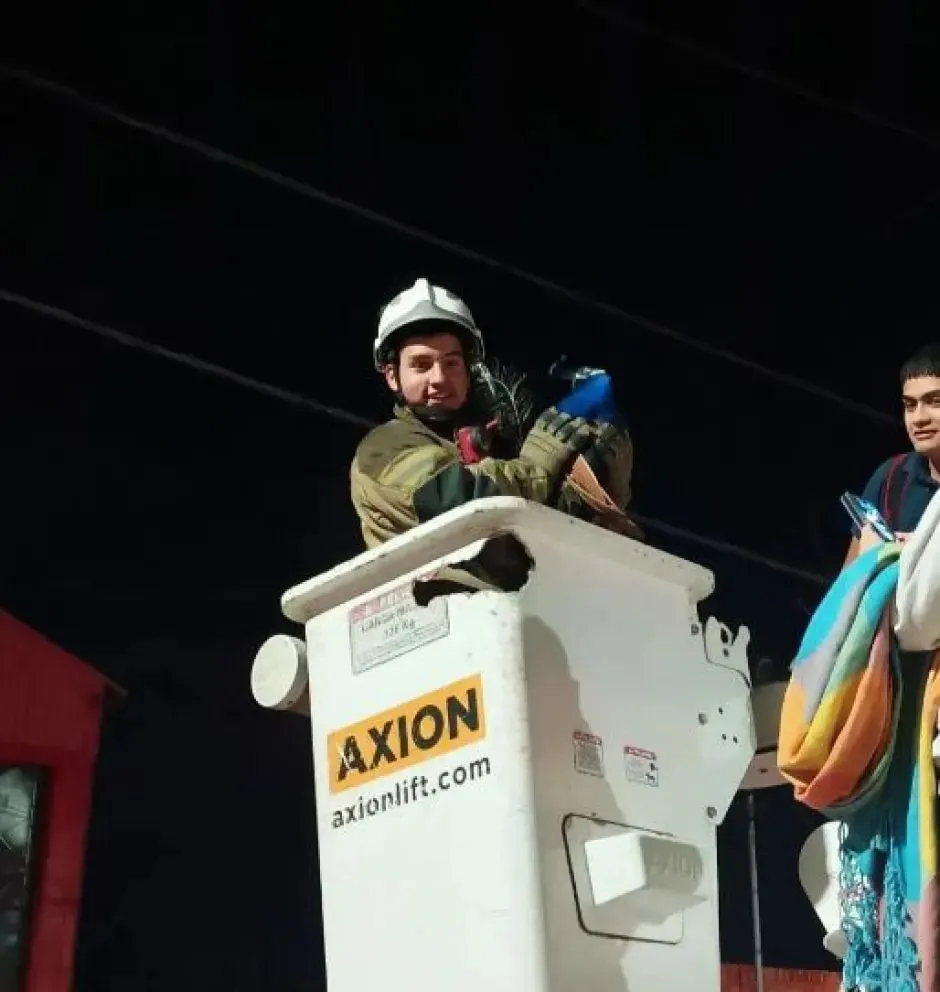 Fue más de una hora de trabajo para poder agarrarlo y dejarlo en una vivienda.