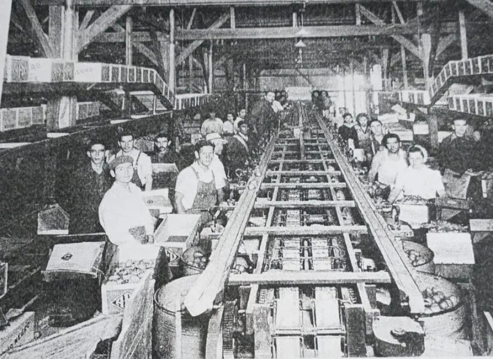 Recuerdo del  interior del galp&oacute;n donde se procesaba y empacaba la fruta. Foto: (Gentileza)