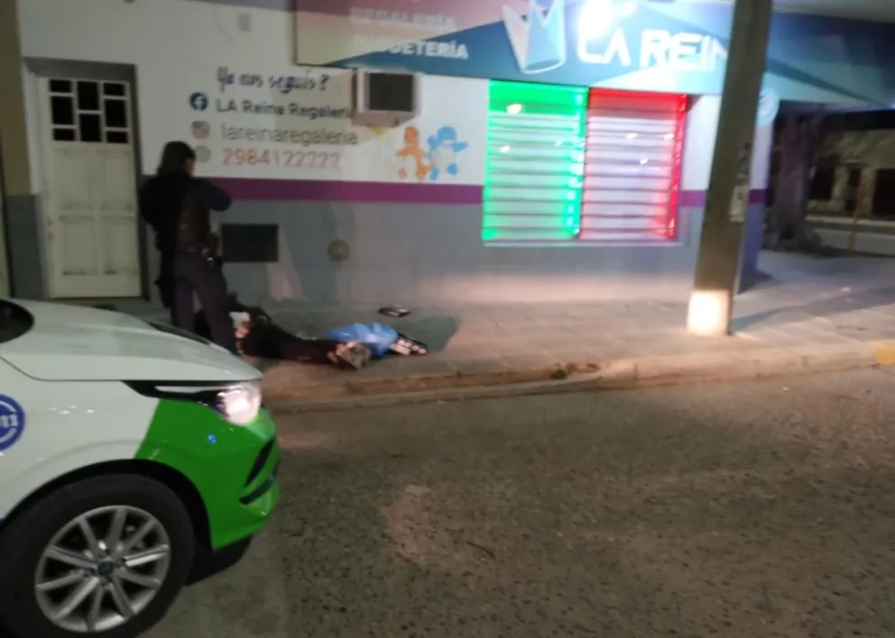 Los ladrones habían robado todo tipo de juguetes y los habían colocado en bosas. 