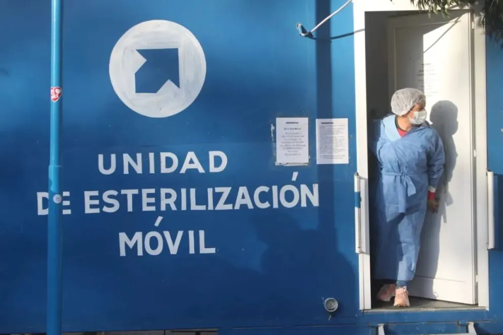 Nueva ubicación de los Quirófanos Móviles de castración de perros y gatos. (Foto Tania Domenicucci)