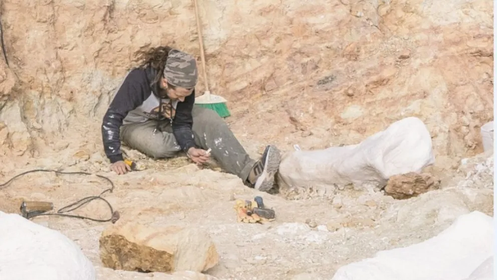 Realizan investigaciones sobre fósiles y dinosaurios de la Patagonia. 