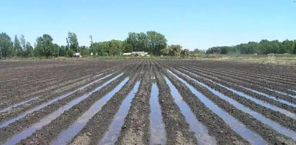 El Idevi presenta en la actualidad un total de 22.747 hectáreas bajo producción.