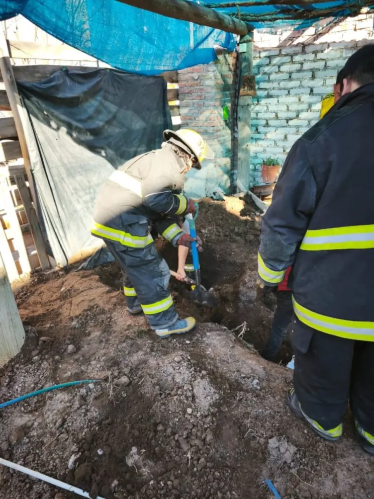 Bomberos trabajaron en el rescate del perrito que había caído a una cloaca. Tras ser extraído sin pulso, lo reanimaron. Foto: (Bomberos Roca)