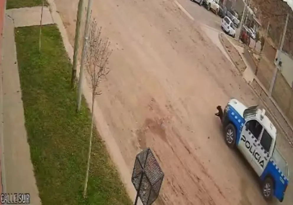 Aún no se identificó al patrullero responsable pero los vecinos esperan aunque sea una disculpa. 