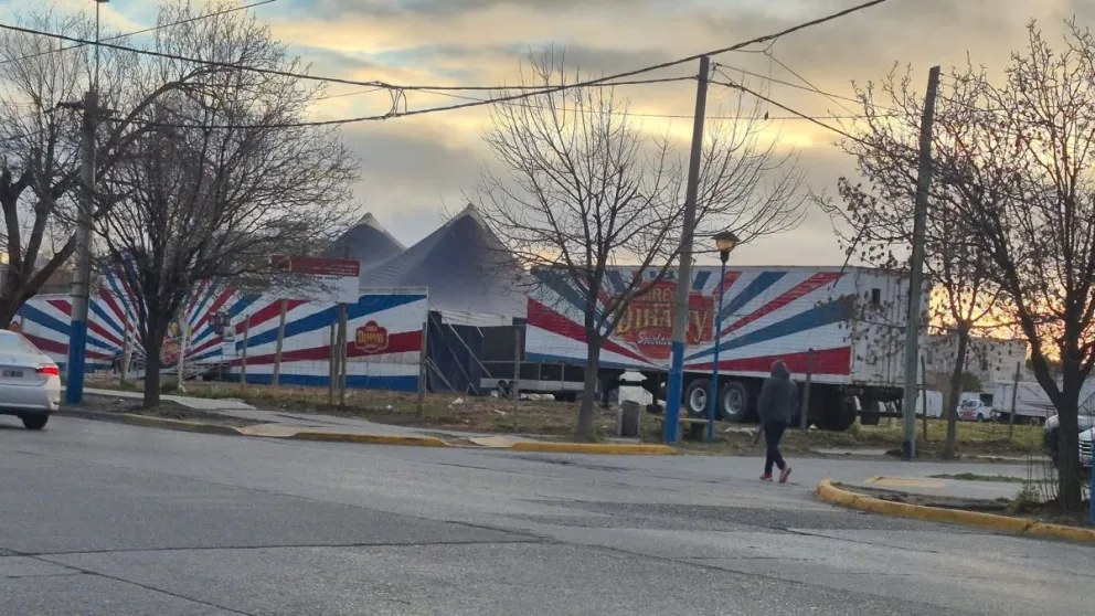“Tienen derecho a trabajar, pero no con animales”, dijeron las proteccionistas. (Foto gentileza)