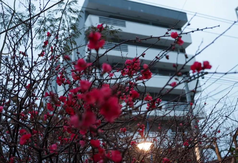 Estará nublado en gran parte del día. Foto: (Tania Domenicucci)