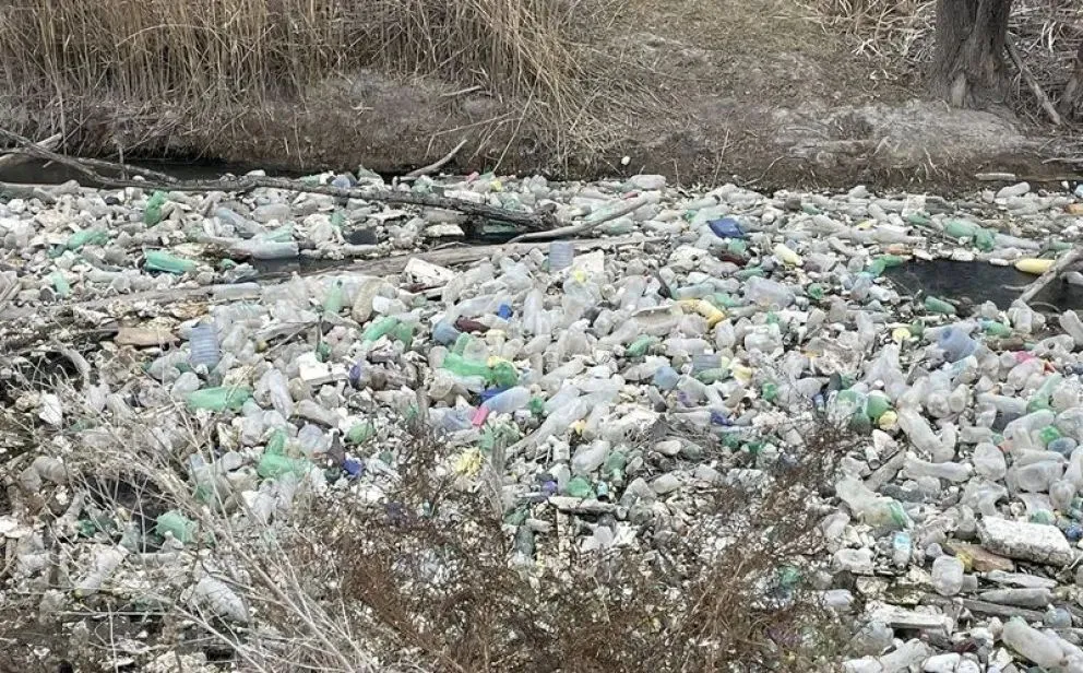 Botellas, animales muertos, cubiertas y bolsas invadieron el lugar. 
