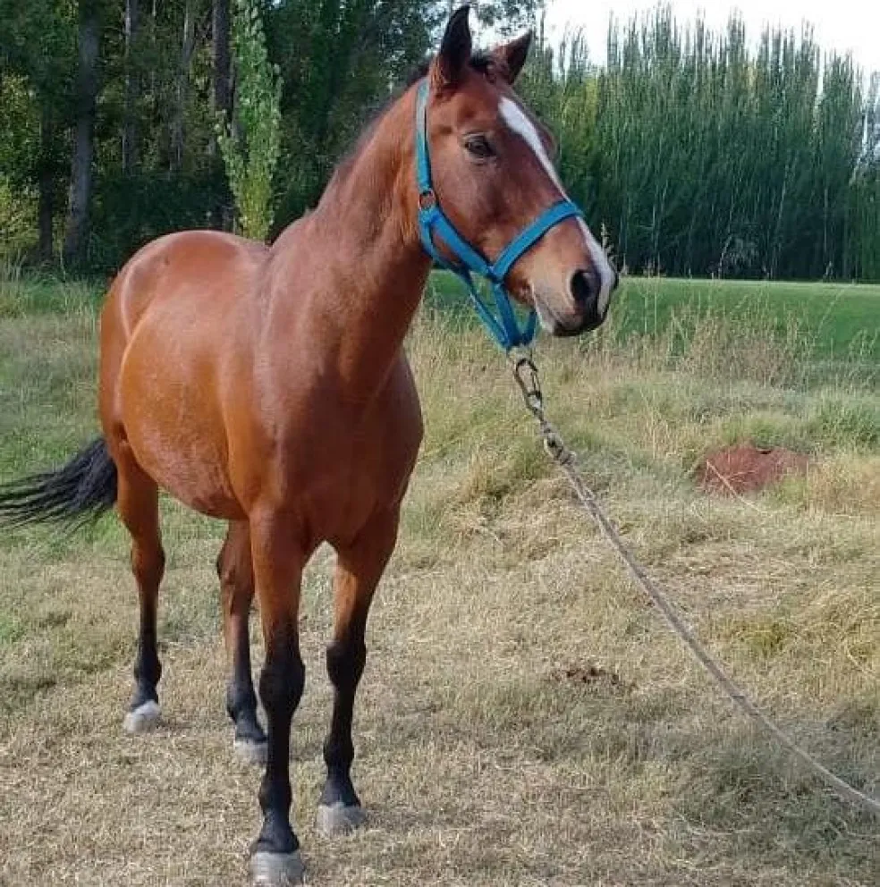 Lorenzo desapareció el miércoles después del mediodía en Puente Cero. Foto (gentileza)