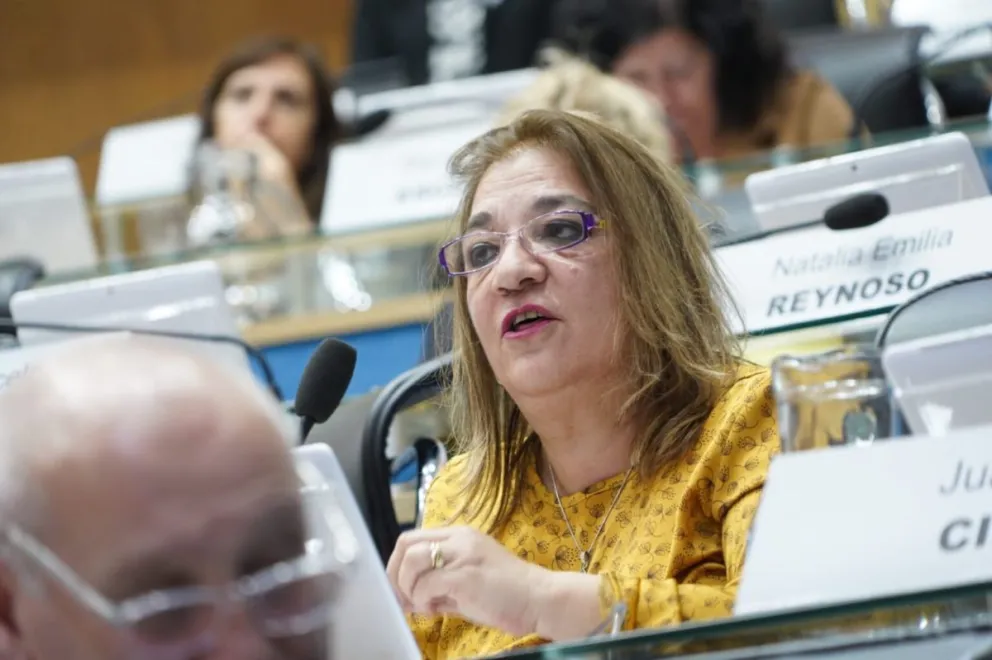 Las leyes fueron debatidas conjuntamente y votadas de forma separada.