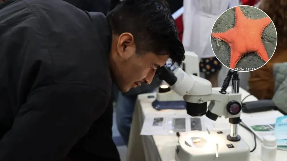 En esta ocasión, muchas de las consultas estuvieron vinculadas a los invertebrados acuáticos. (Foto Tania Domenicucci)