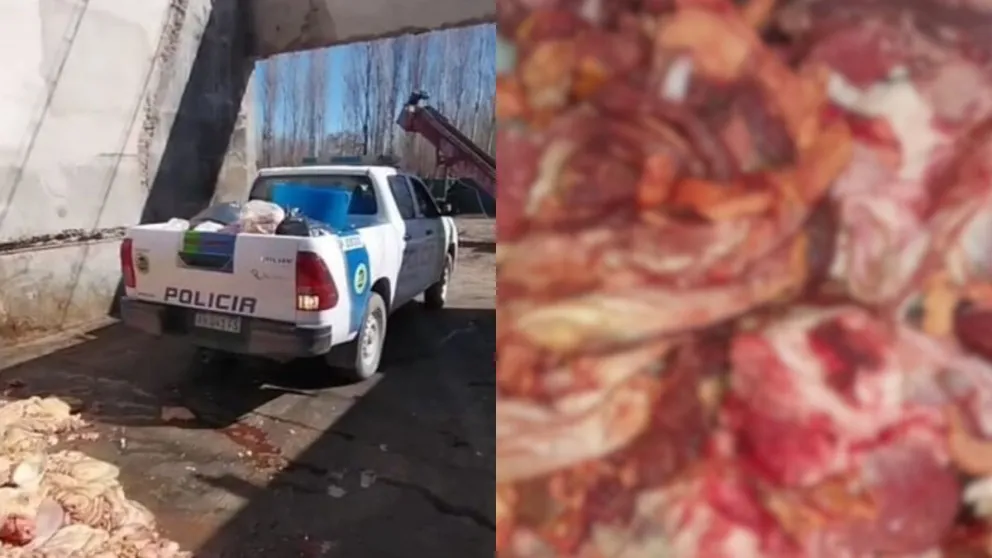 Para evitar el consumo de productos que puedan poner en riesgo la salud. (Foto gentileza)