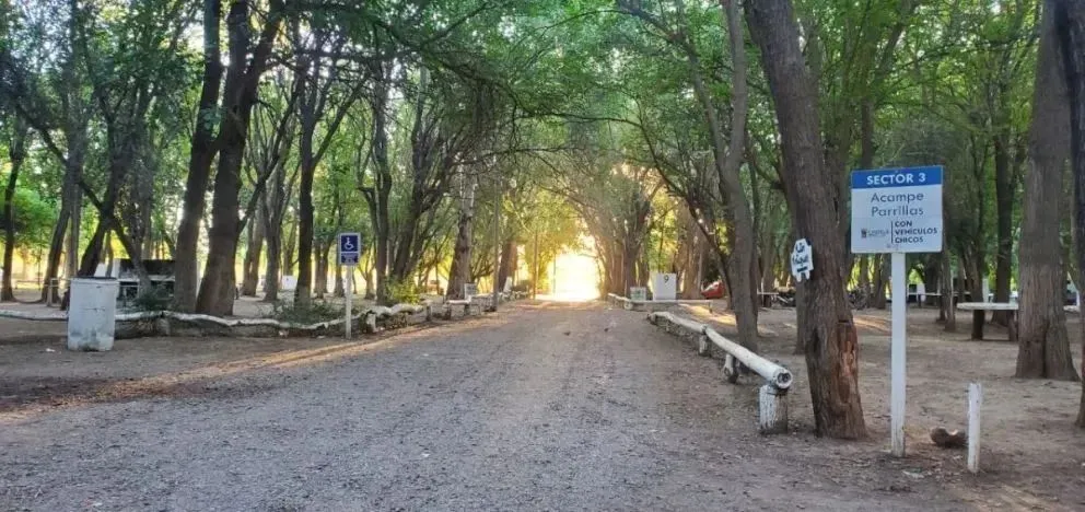 Un vecino de Choele Choel aseguró haber vivido un hecho inusual mientras caminaba hacia la Isla 92. Foto (7 en Punto)