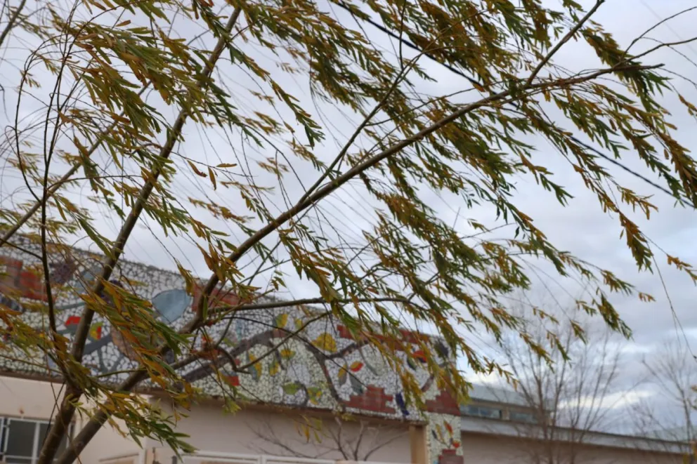 El viento afectará a Roca y alrededores. Foto: (Tania Domenicucci)