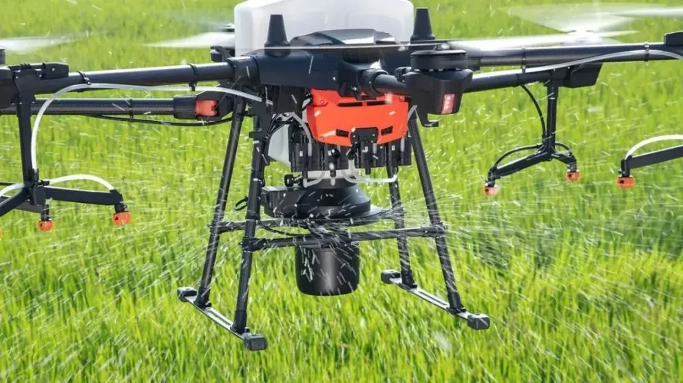 La implementación se realiza junto al Consejo Federal de Inversiones (CFI) y Río Negro Fiduciaria