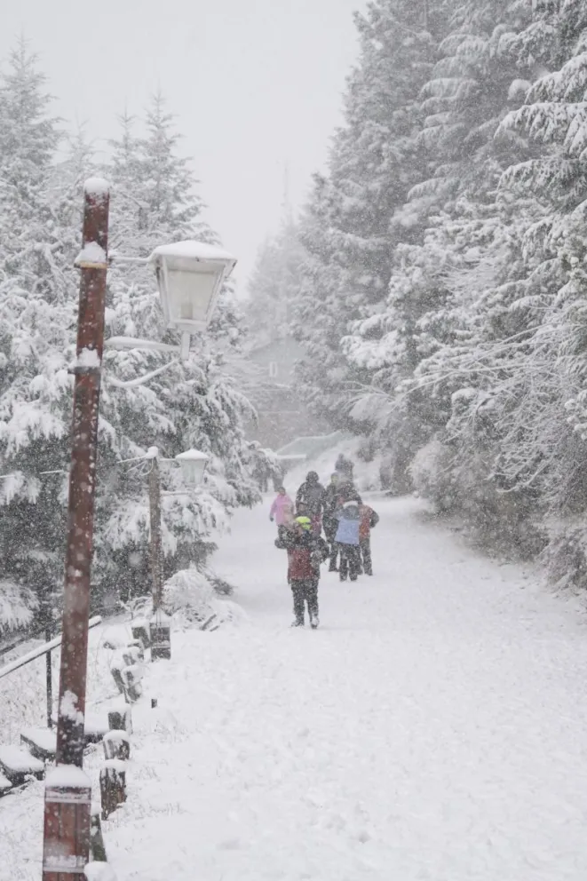 Llegó la nieve en pleno septimebre a Bariloche 