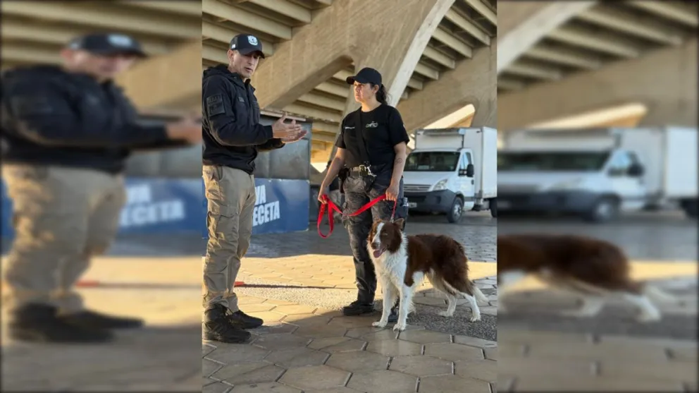 La mujer participó  del VII Curso Internacional de Canes Detectores de Explosivos. Foto: Policía de Río Negro. 