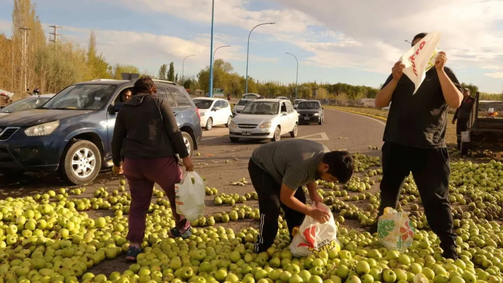El camión iba cargado con 30 bines de manzanas. (Fotos gentileza Martin Zamboni)
