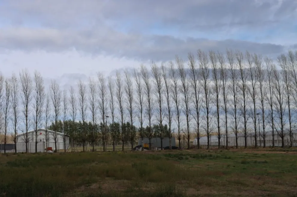 Se brindaron datos para los próximos tres meses. Foto: (Tania Domenicucci)