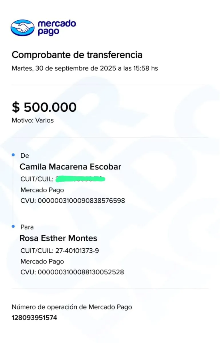 Dos transferencias por elevados montos realiz&oacute; un familia de Salta. Foto (gentileza)