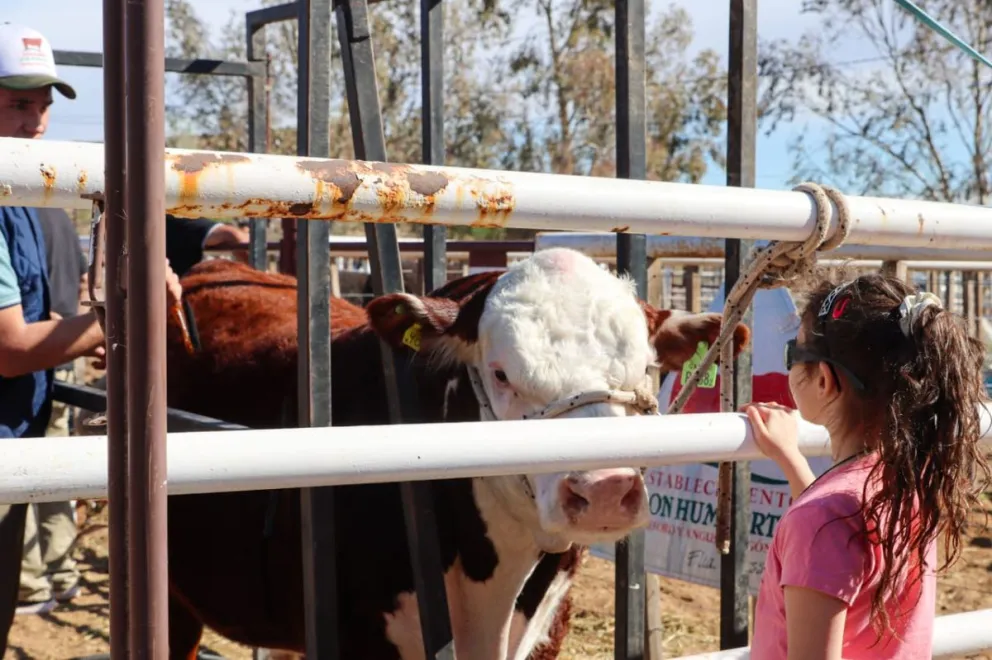 Weretilneck en la Expo Rural de Roca: &ldquo;El pa&iacute;s debe sumarse al estatus sanitario de la Patagonia&rdquo;