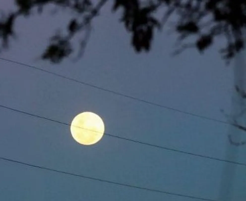 La Luna del Cazador se dejó ver anoche sobre Roca, cruzando el cielo entre cables y ramas. Foto (Tania Domenicucci – ANR)