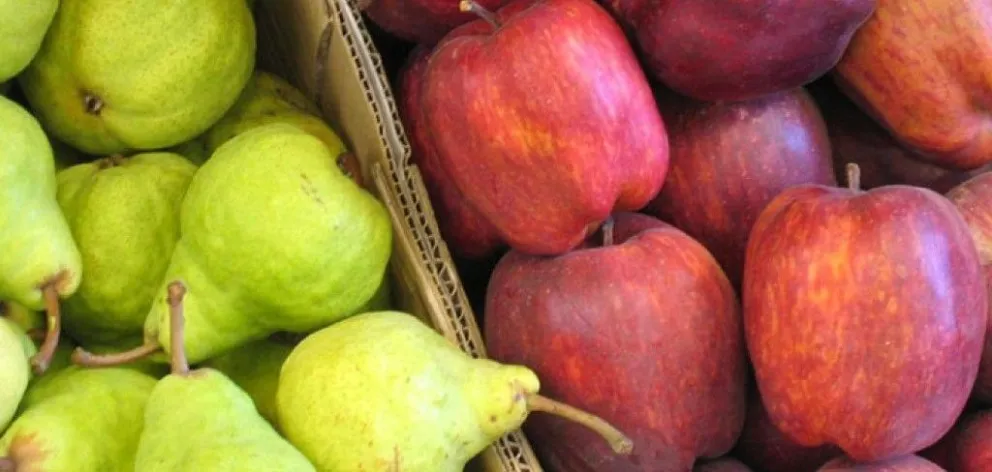El hombre cayó de altura cuando destapaba un camión con fruta para su descarga. Foto (archivo)