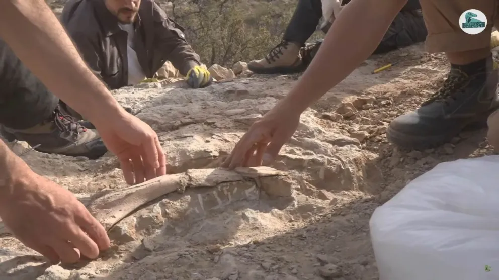 "No es algo que suceda en una campaña, que encuentres tantos dinosaurios en tan pocos días"