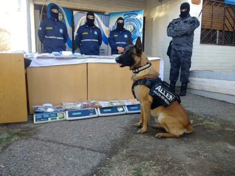 El procedimiento se realiz&oacute; el 8 de agosto de 2022, cuando M&aacute;ximo detect&oacute; la droga. Foto: gentileza