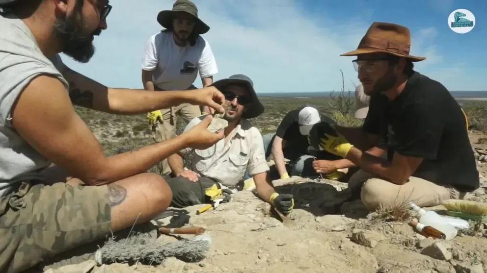 El encuentro contarán los desafíos del trabajo en terreno, las condiciones en las que se concretó la transmisión y los primeros hallazgos que surgieron durante la campaña. Foto: Conicet